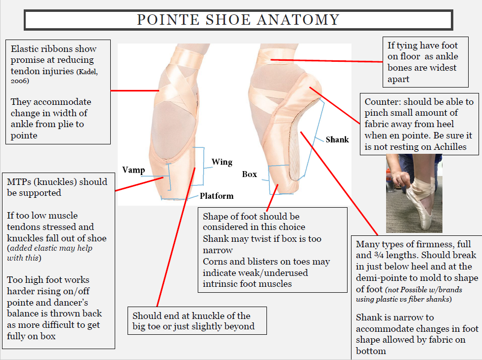 Pre-Point Anatomy